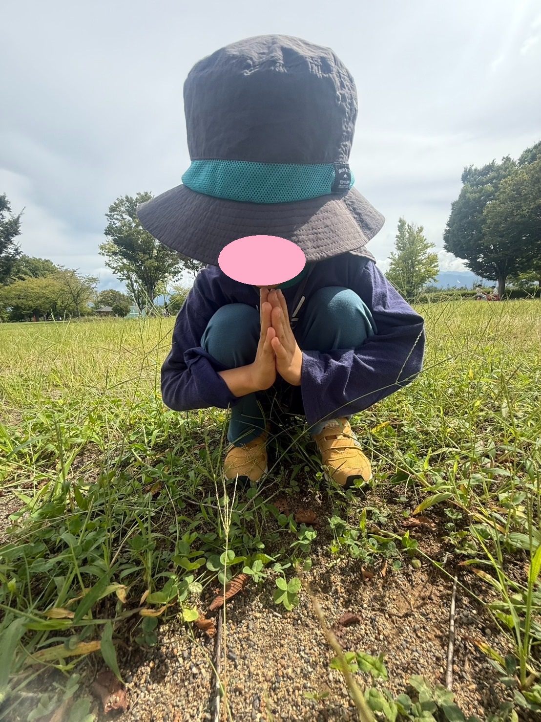 願いが叶いますように🍀